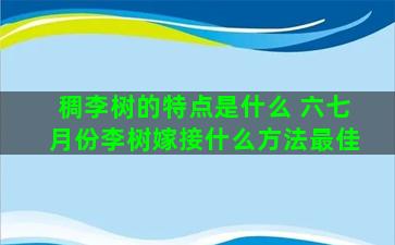 稠李树的特点是什么 六七月份李树嫁接什么方法最佳